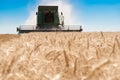 Combine harvesting wheat