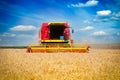 Combine harvesting wheat Royalty Free Stock Photo