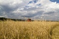 The combine harvests grain in the field, then Royalty Free Stock Photo