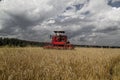 The combine harvests grain in the field, then Royalty Free Stock Photo