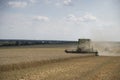 The combine harvests the ripe golden wheat in the grain field. Agricultural work in summer.