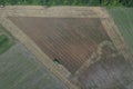 The combine harvests ripe wheat in the grain field. Agriculture. Aerial view. From above.