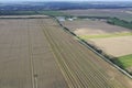 The combine harvests ripe wheat in the grain field. Agriculture. Aerial view. From above.