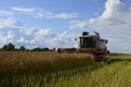 Combine removes rapes on the field. Rapeseed harvesting by combine on summer field