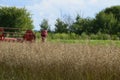 Combine removes rapes on the field. Rapeseed harvesting by combine on summer field