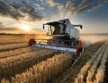 a combiner driving through wheat field at sunset in rural queensland Royalty Free Stock Photo