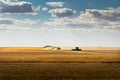 Combines harvest a wheat field in Rockyview County