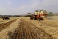 Combines harvester harvesting wheat on a bright day. Wheat cutting machine. Wheat harvesting by the combine