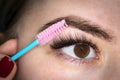 combing the extended eyelashes. A girl with brown eyes does a close-up makeup.. Young beautiful woman applying mascara Royalty Free Stock Photo