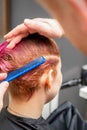 Combing the hair of a young woman during coloring hair in pink color at a hair salon close up. Royalty Free Stock Photo