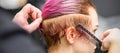 Combing the hair of a young woman during coloring hair in pink color at a hair salon close up. Royalty Free Stock Photo