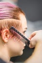 Combing the hair of a young woman during coloring hair in pink color at a hair salon close up. Royalty Free Stock Photo