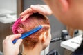 Combing the hair of a young woman during coloring hair in pink color at a hair salon close up. Royalty Free Stock Photo