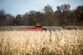 Combining corn field