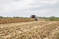 combining field corn Royalty Free Stock Photo