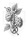 Steampunk Botanical Fusion of Hops and Gears Royalty Free Stock Photo