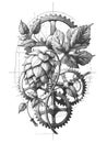 Steampunk Botanical Fusion of Hops and Gears Royalty Free Stock Photo