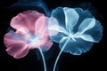 Combining plant forms with holographic effects, holographic greenery offers a futuristic approach to branding