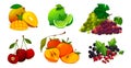 Combining ripe fruits or vitamin vector set