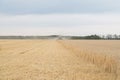 Combining a wheat field on the prairie Royalty Free Stock Photo