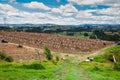 Combita, Boyaca, Colombia Ã¢â¬â 8th of August 2023: Harvesting of the potato crop at the region of Boyaca in Colombia