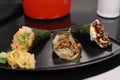 Combo of temakis in black background Royalty Free Stock Photo