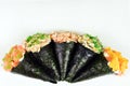 Combo of temakis in white background Royalty Free Stock Photo