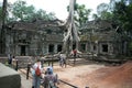 Combodia temples jungles Royalty Free Stock Photo