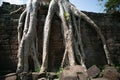 Combodia temples jungles Royalty Free Stock Photo