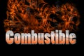 Combustible 3D illustration in fire text