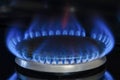 Combustion of natural gas, propane. Gas stove on a black background. Fragment of a gas kitchen stove with a blue flame