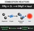 Combustion Reaction Infographic Diagram