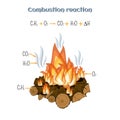 Combustion reaction - wood burning at fire camp. Royalty Free Stock Photo