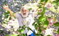 Come with me. Human emotions and expressions. Very old man portrait. thinking about youth in park or garden. happy man Royalty Free Stock Photo