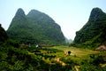 Comely Guilin hills and paddy