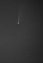 Comet C2020 F3 Neowise