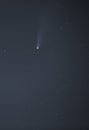 Comet C2020 F3 Neowise