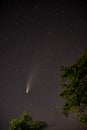 Comet c/2020 F3 Neowise in the middle of summer night of 2020