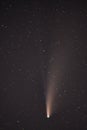 Comet c/2020 F3 Neowise in the middle of summer night of 2020