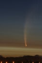 Comet McNaught at Sunset