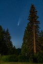 Comet Neowise Above Eld Inlet, Olympia Washington Royalty Free Stock Photo