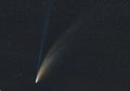 Comet Neowise comet C2020 F3 (NEOWISE) as it flies overhead in the summer sky