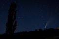 Comet Neowise, C2020 F3, in the sky of Herreruela de Castilleria, Palencia. Spain