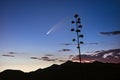 Comet Neowise at sunset