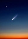 Comet in Night Sky