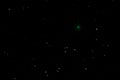 Comet 46P/Wirtanen in the night sky Royalty Free Stock Photo