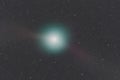 Comet Wirtanen Royalty Free Stock Photo