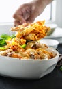 Comfort food baked pasta chicken ham cheese pumpkin Royalty Free Stock Photo