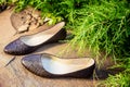 Comfortable ballet shoes, snakeskin, ladies shoes in nature