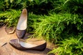 Comfortable ballet shoes, snakeskin, ladies shoes in nature